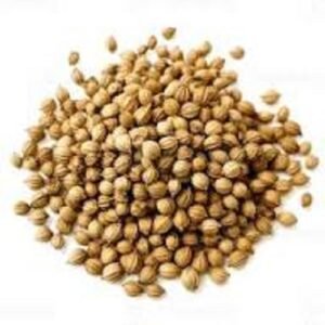 Coriander Seeds